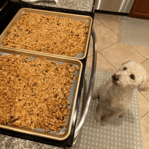 Denise Curtis working with families