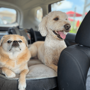 Denise Curtis working with families