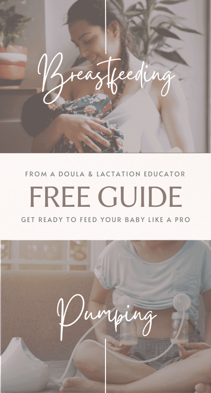 Feeding Fundamentals guide cover